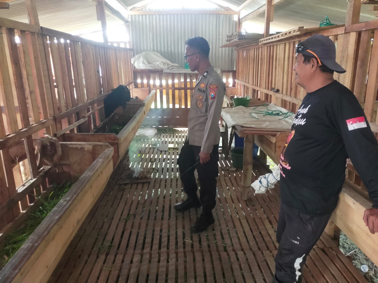 Wujudkan Swasembada Pangan, Polsek Manyar Beri Pendampingan Peternak Kambing