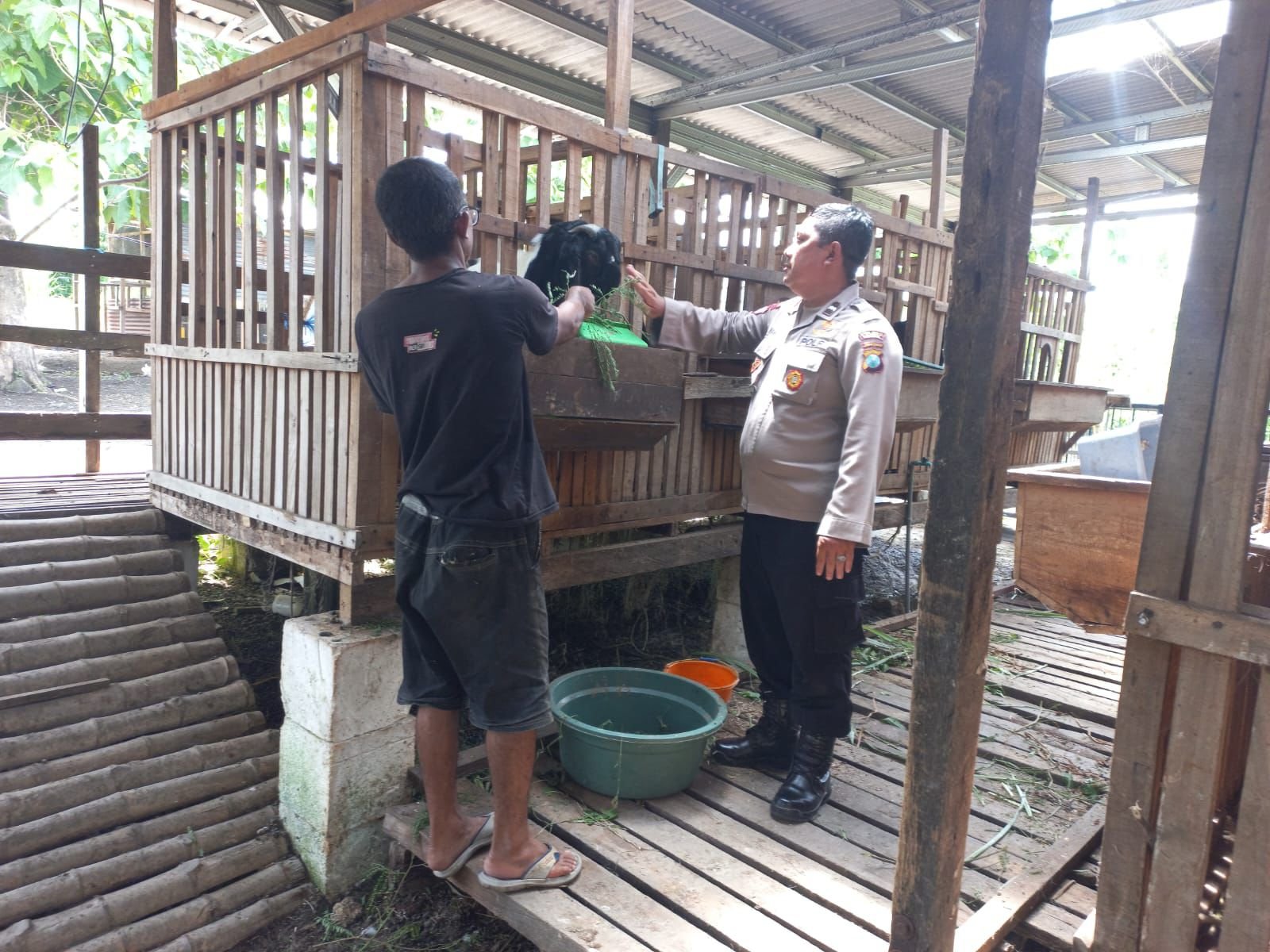 Wujud Dukungan Ketahanan Pangan, Polsek Cerme Lakukan Pengecekan Peternakan Kambing di Banjarsari