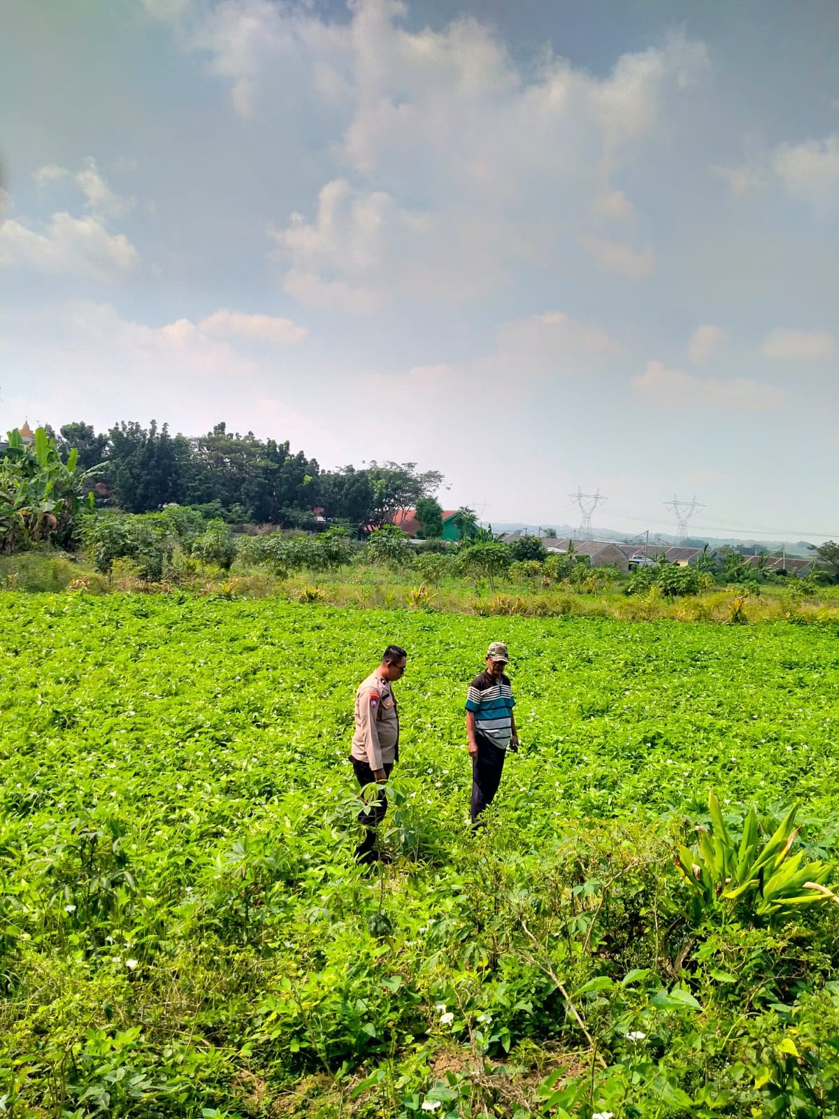 Dukung Swasembada Pangan Presiden, Personel Polres Gresik Turun Langsung ke Sawah Slempit