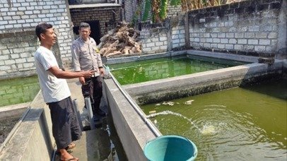 Dukung Ketahanan Pangan Nasional, Polsek Bungah Monitoring Budidaya Lele di Desa Indrodelik