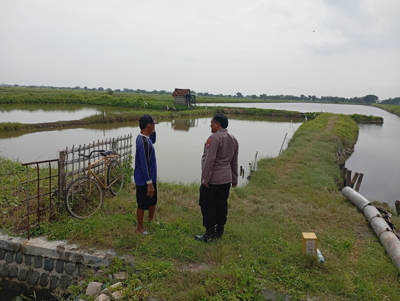 Polri Hadir untuk Ketahanan Pangan, Polsek Duduksampeyan Monitoring Tambak Ikan di Gresik