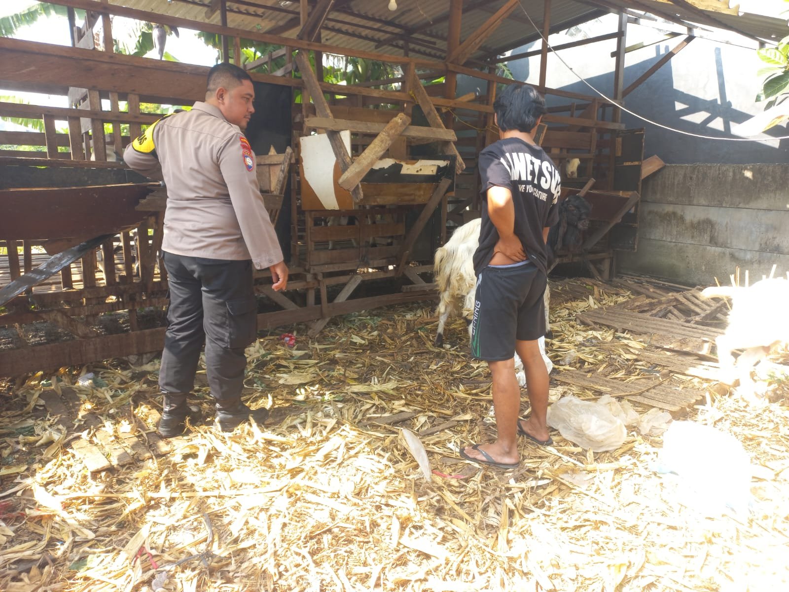 Dorong Kemandirian Pangan, Polsek Cerme Pantau Ternak Kambing Masyarakat