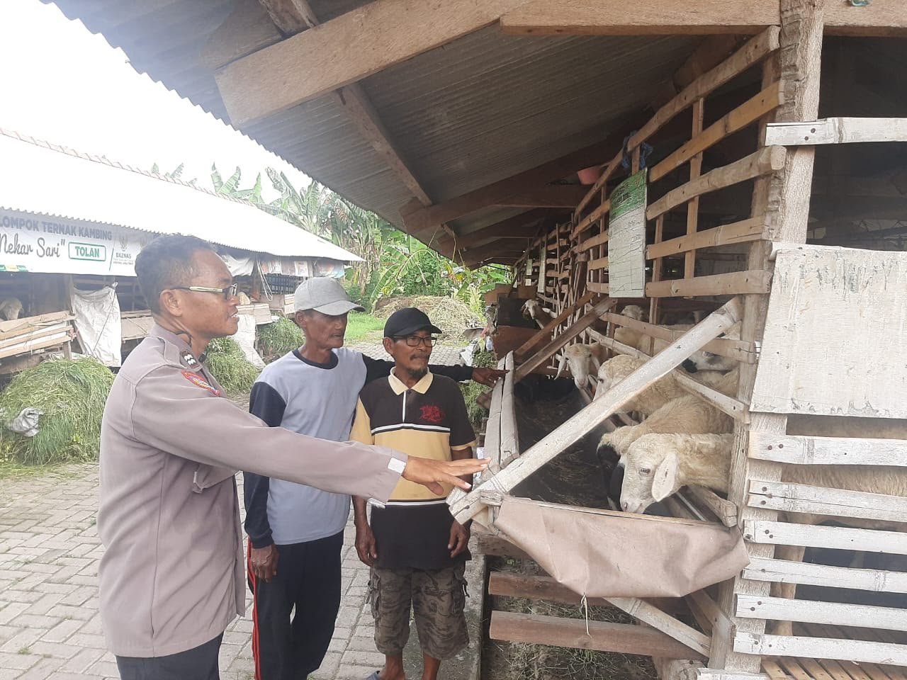Dari Kembangan, Polsek Kebomas Dukung Kemandirian Masyarakat melalui Peternakan Kambing