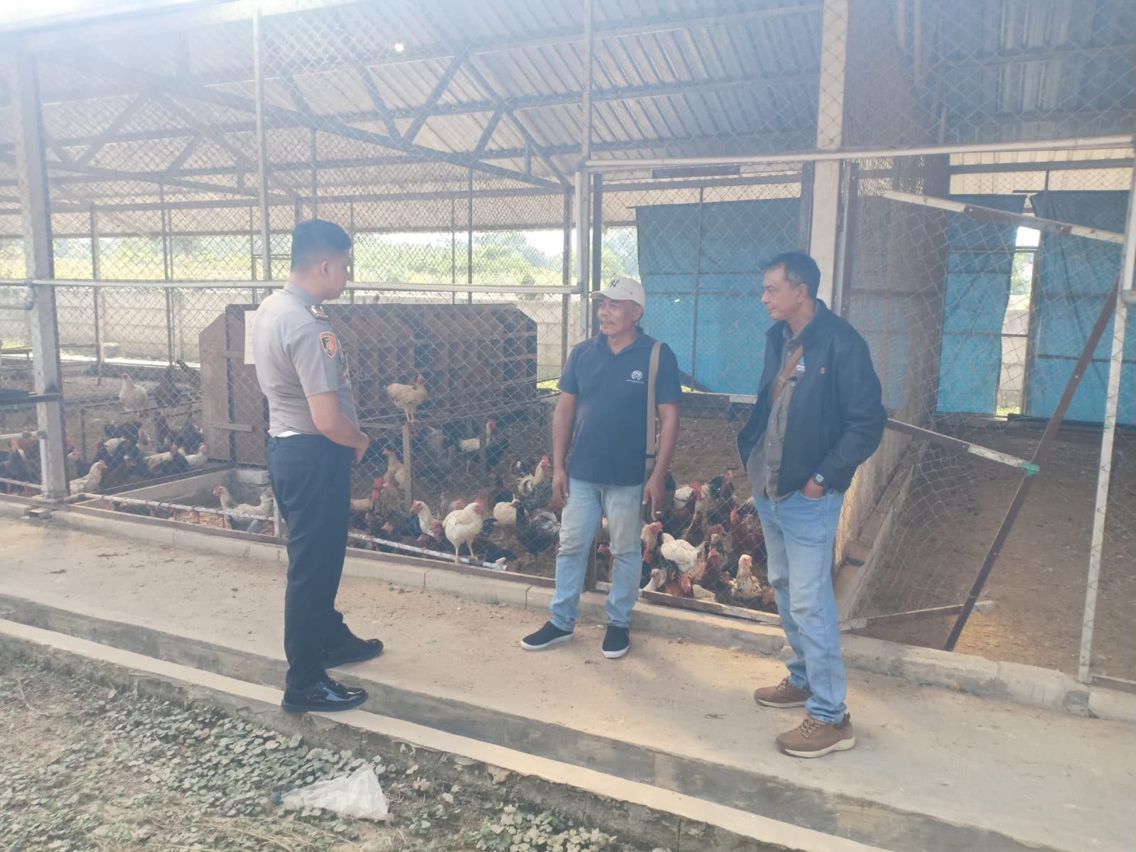 Gerakkan Ekonomi Desa, Polsek Kedamean Pantau Pasokan Pangan Sektor Peternakan Ayam