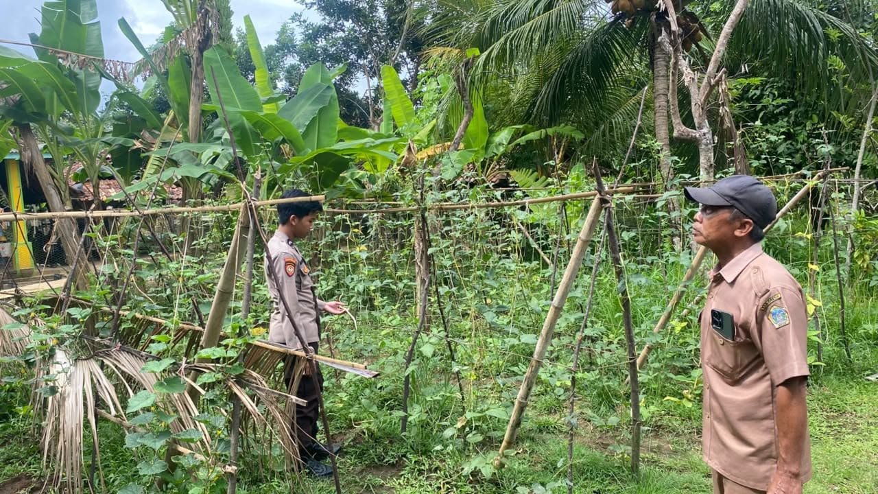 Dukung Swasembada Pangan, Polsek Sangkapura Cek Tanaman Kacang Panjang di Desa Lebak